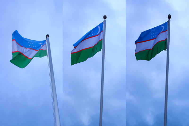 Steaguri ale Uzbekistanului