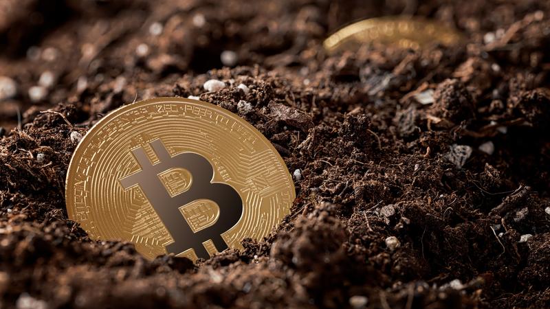 face bani bitcoin viitor