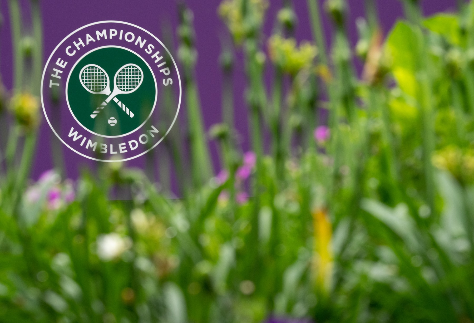 LiveBlog Wimbledon 2022, ziua 9: Djokovic vs Sinner, meciul zilei