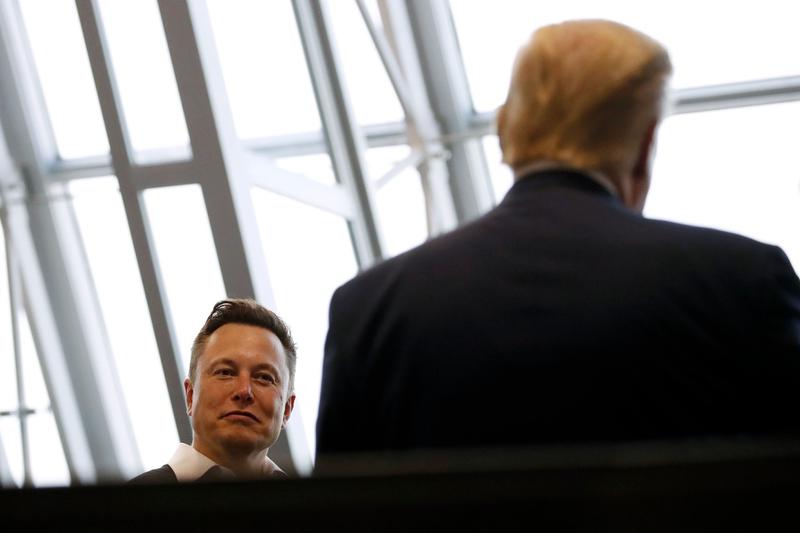 Donald Trump si Elon Musk