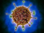 Vedere microscopică a virusului de origine animală de tip Henipavirus