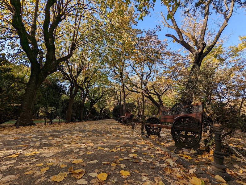 Toamna în parc