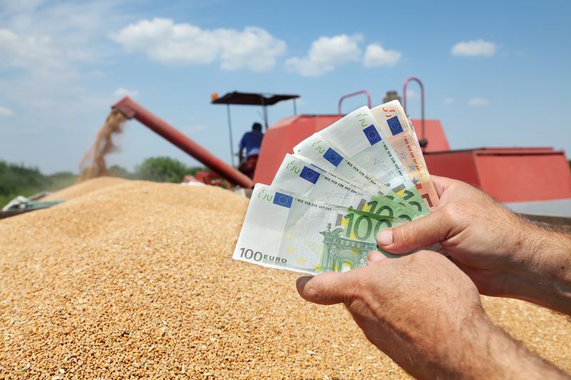 ​Granturi de max. 280.000 EUR pentru fermierii care iau credite, printr-o schemă propusă de Ministerul Agriculturii