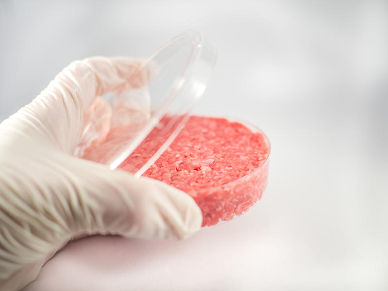 Carne creata in laborator