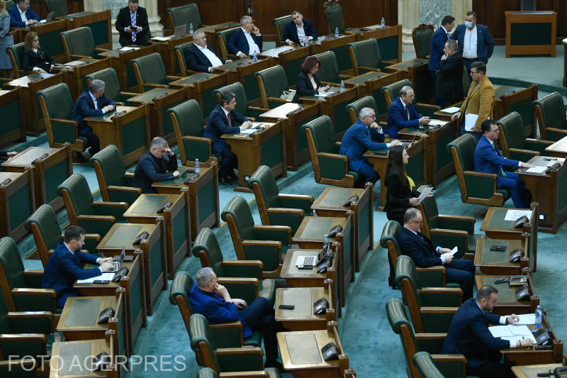 sedinta de plen Senat 