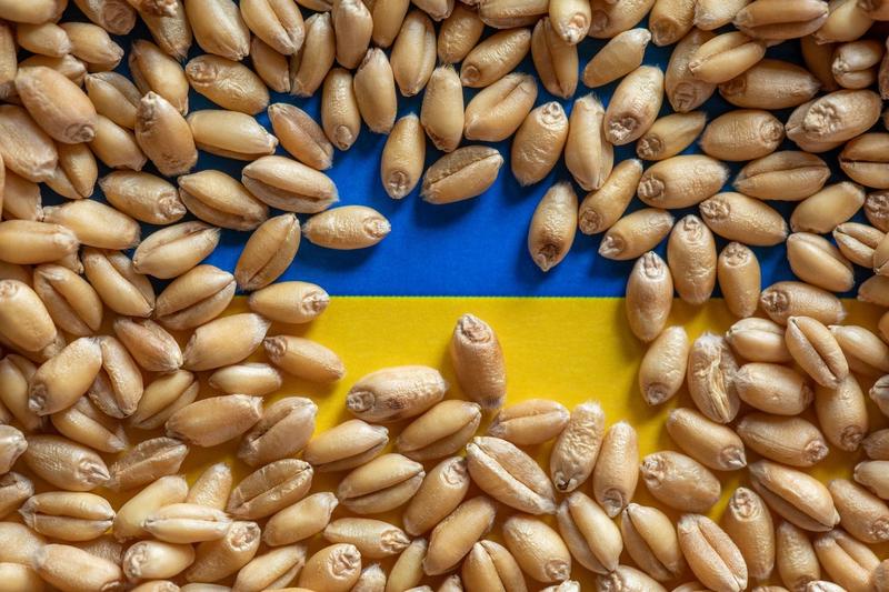 Cereale ucrainene
