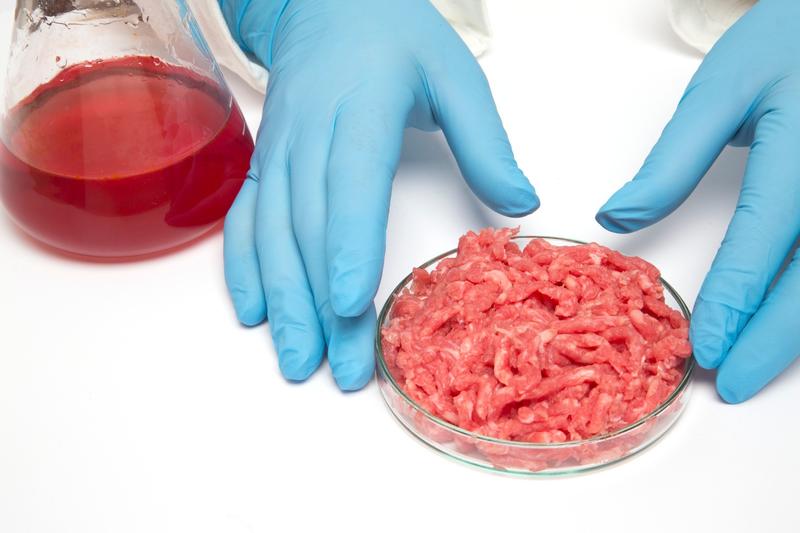 carne produsă în laborator