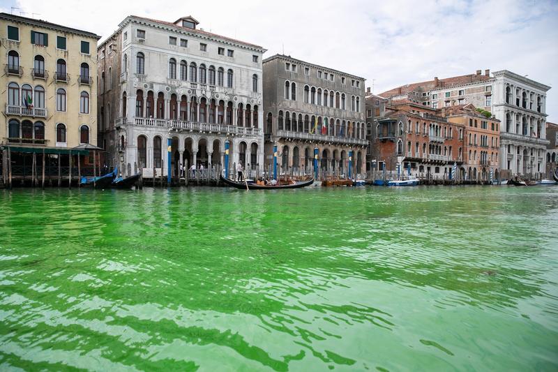 Gondolieri pe apa verde din Venetia