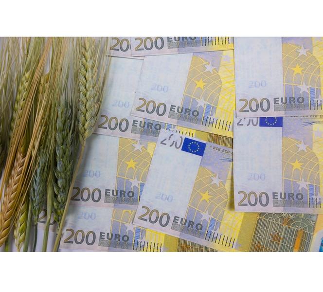 bani-euro-agricultura