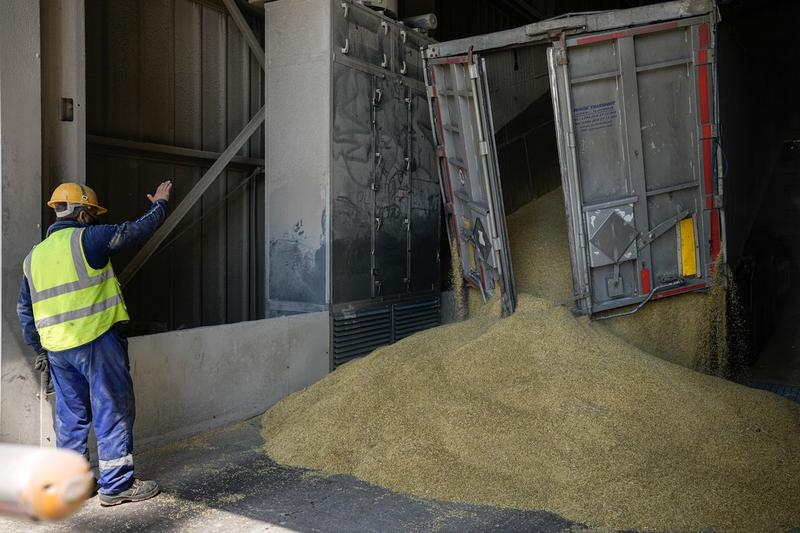 Cereale ucrainene descărcate în portul Constanța