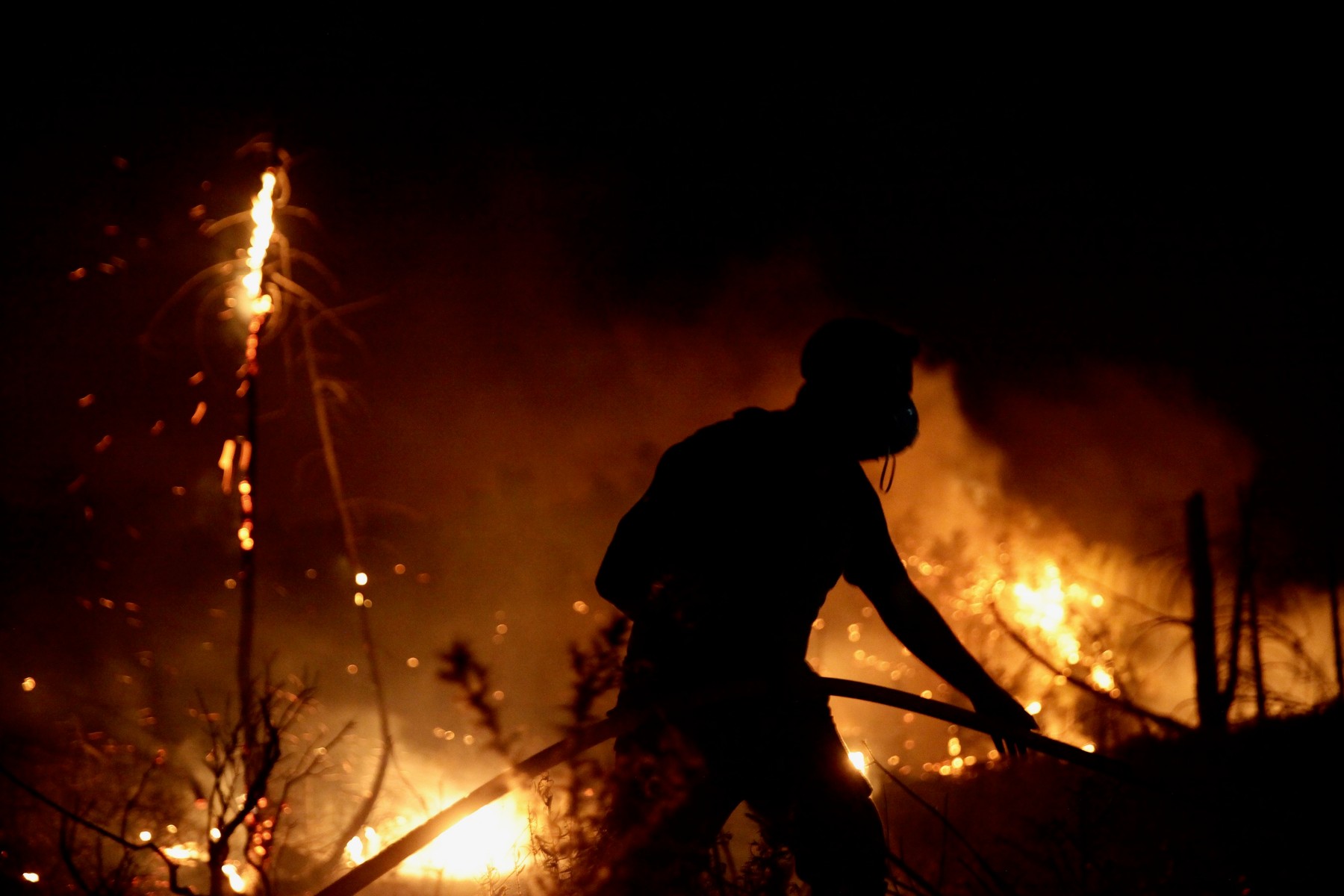 Persoanele care provoacă incendii de vegetație în Grecia vor risca ...