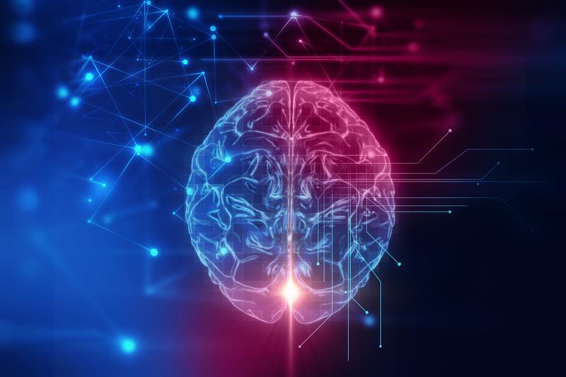 Cum funcționează creierul uman?