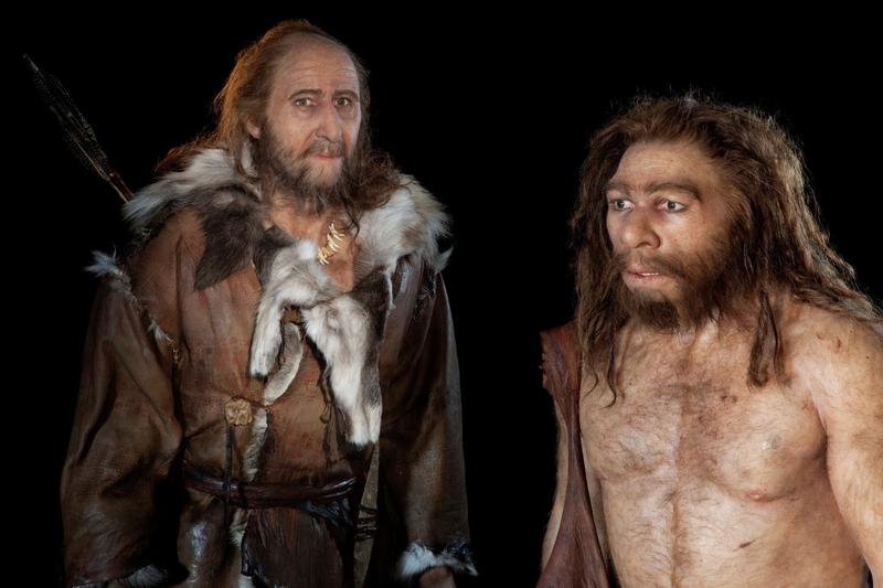 Homo sapiens și Homo neanderthalenis