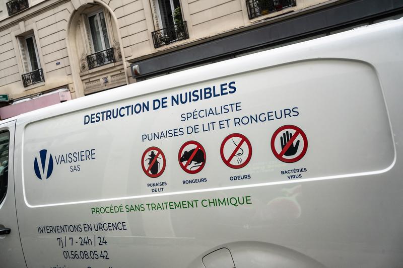 invazie de plosnite la Paris