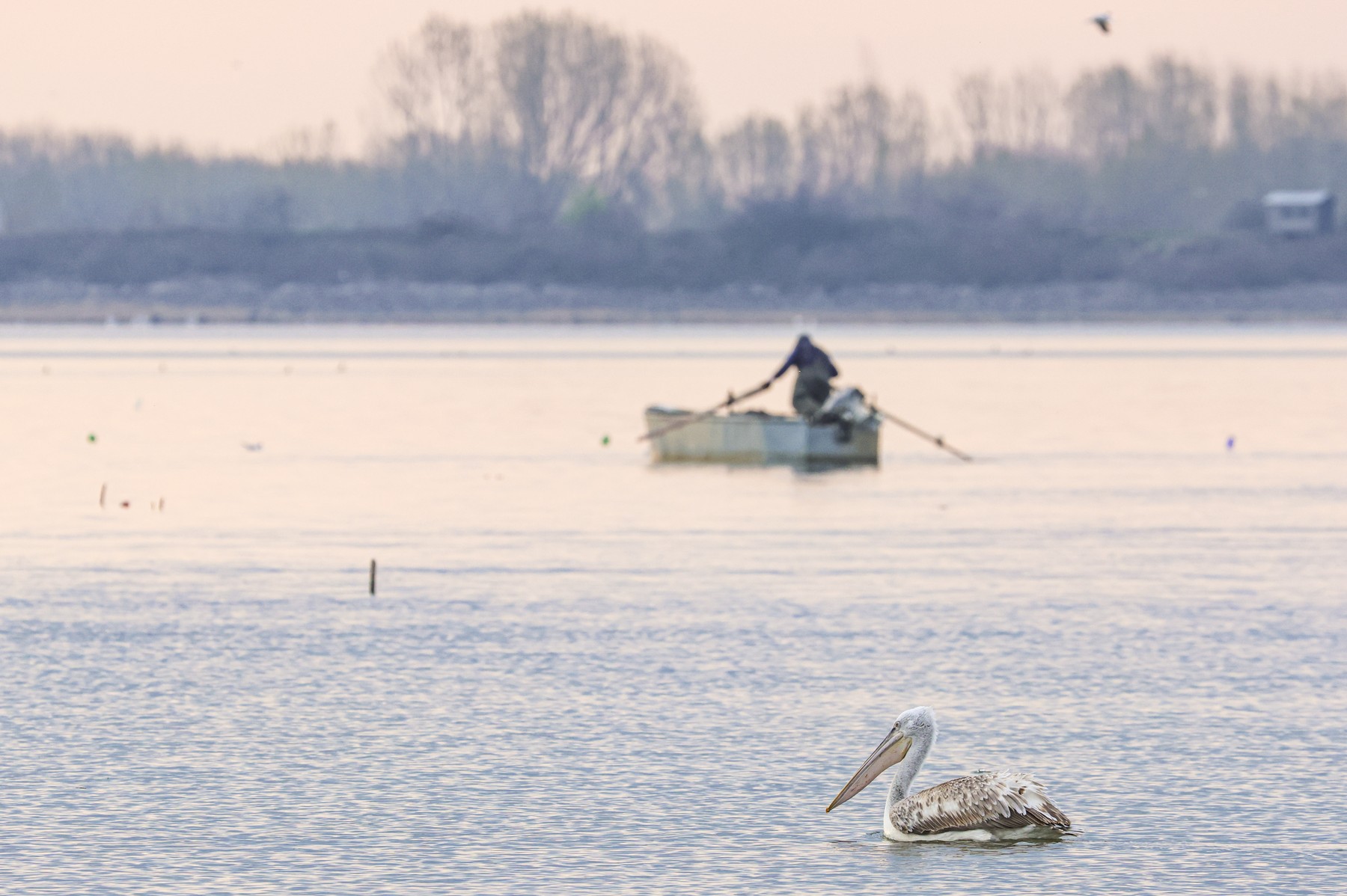 După operatorii turistici, și pescarii din Delta Dunării cer să fie compensați pentru pierderile suferite din cauza războiului din Ucraina