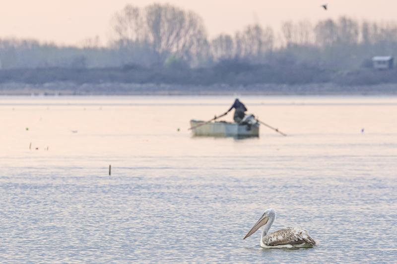 Pescar in Delta Dunarii