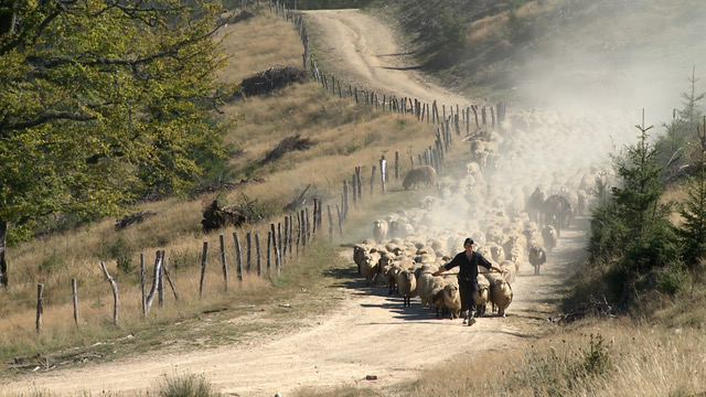 Calea laptelui, de Dumitru Budrala, proiecție-eveniment la Astra Film Festival