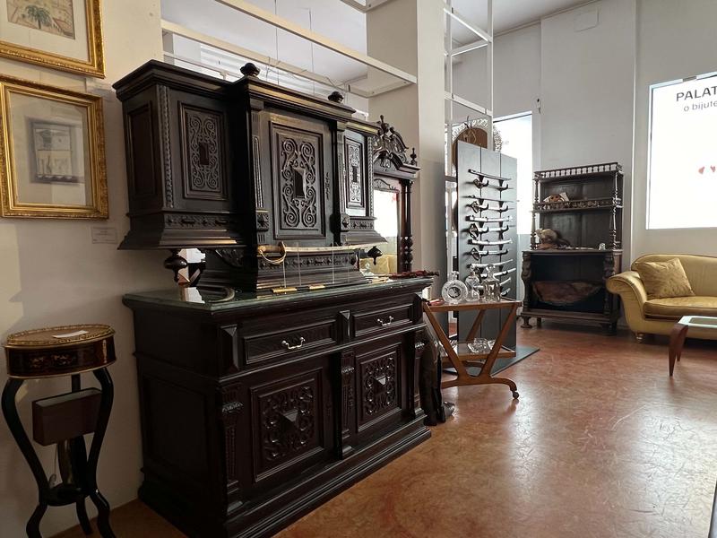 Expoziția „Case frumoase”, la Palatul Cesianu-Racoviță