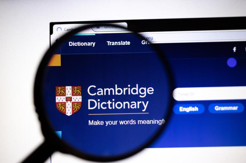 Site-ul Dictionarului Cambridge
