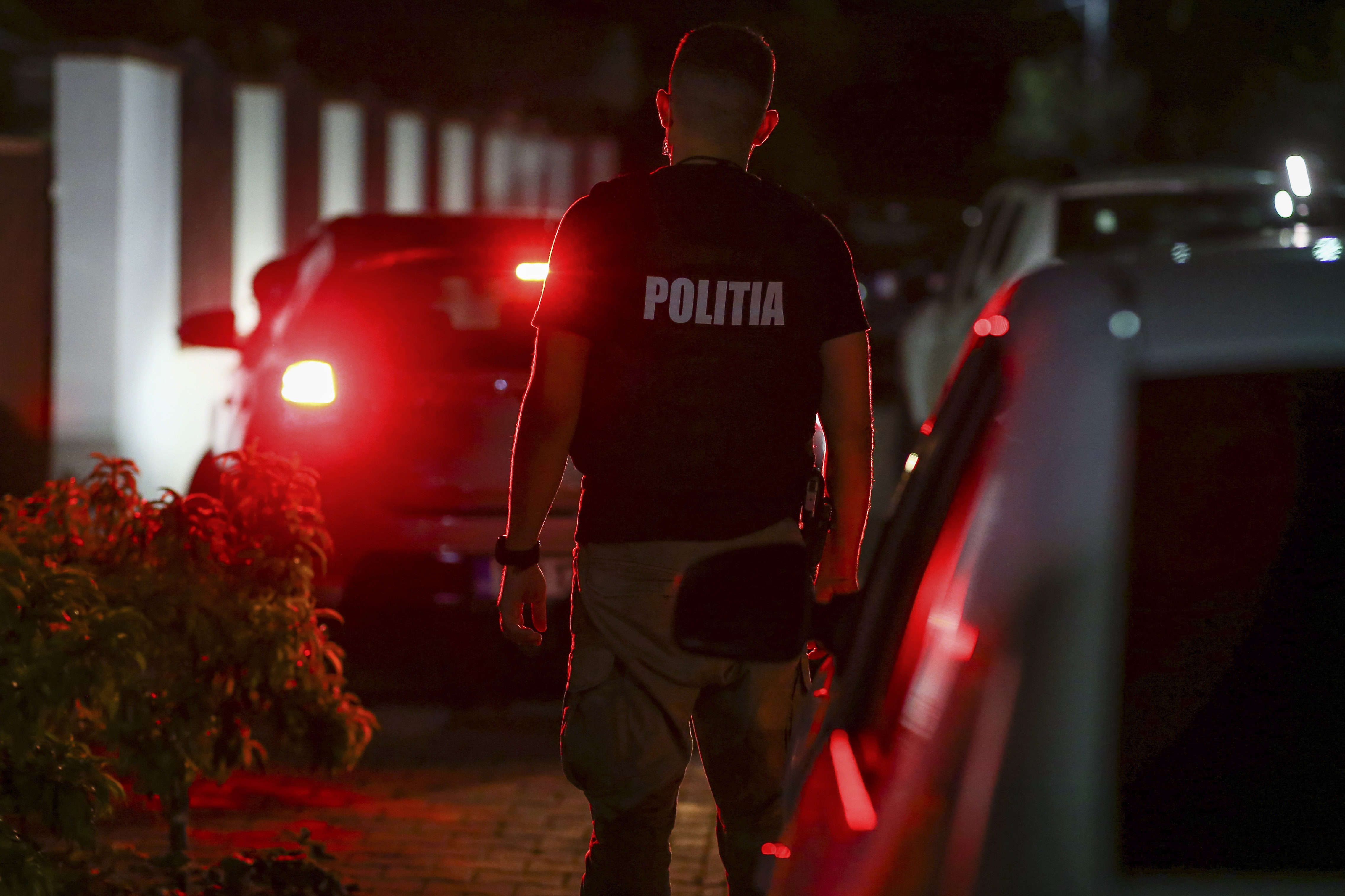 Bărbatul din judeţul Timiş suspectat că i-a ajutat pe ucigaşii omului de afaceri sibian Adrian Kreiner, arestat preventiv