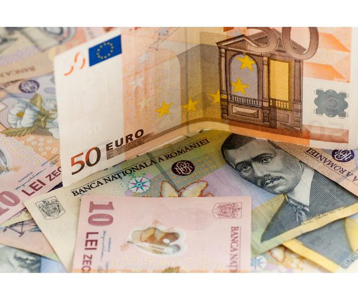 euro-lei-bani