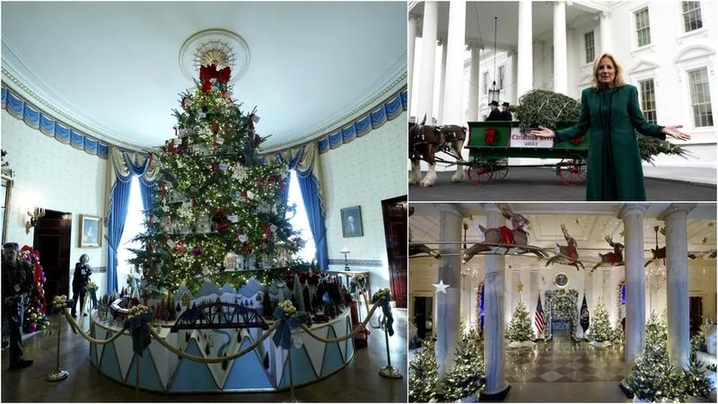Cum este ales pomul de Crăciun de la Casa Albă