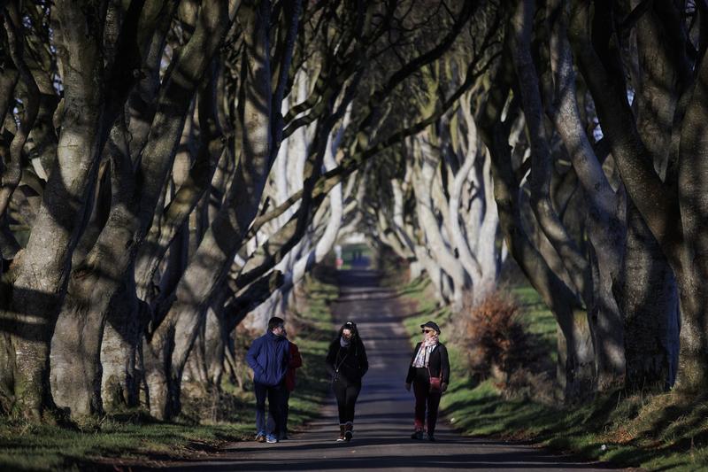 Copacii Dark Hedges folositi la filmarile pentru „Game of Thrones”