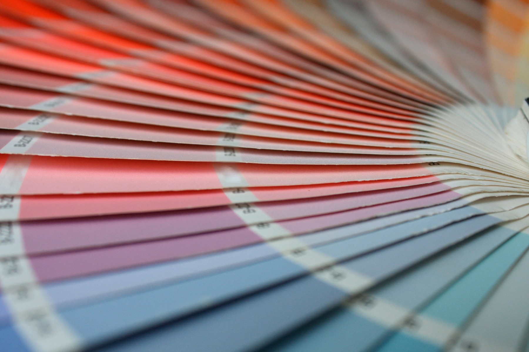 Pantone a anunțat culoarea anului 2024: „Peach Fuzz”. Ce simbolizează
