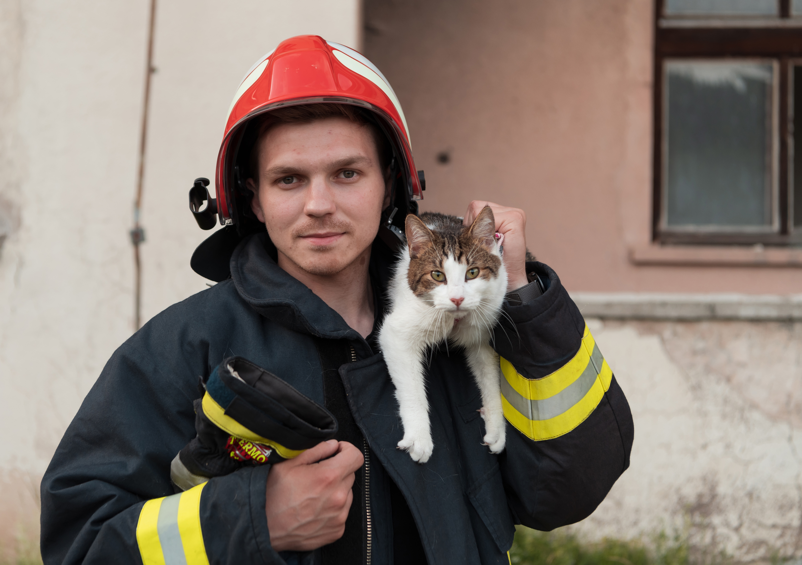 O pisică salvată dintr-un incendiu a intrat din nou în flăcări pentru a-și recupera cei doi pui