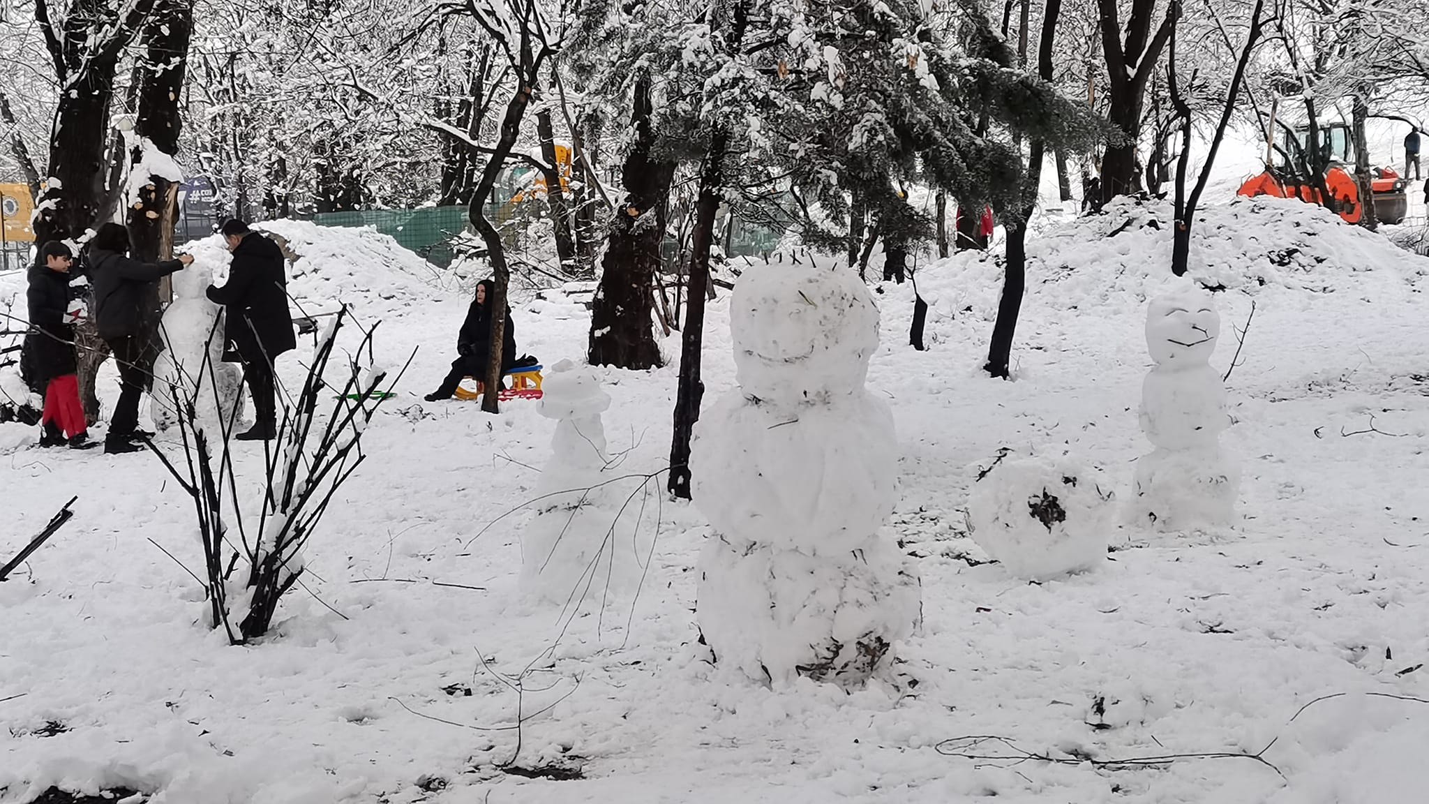 Ninsoarea ca un Râs a trecut blând prin oraș. Și ne-am bucurat și ne-am jucat ca și cum ar fi prima și ultima oară
