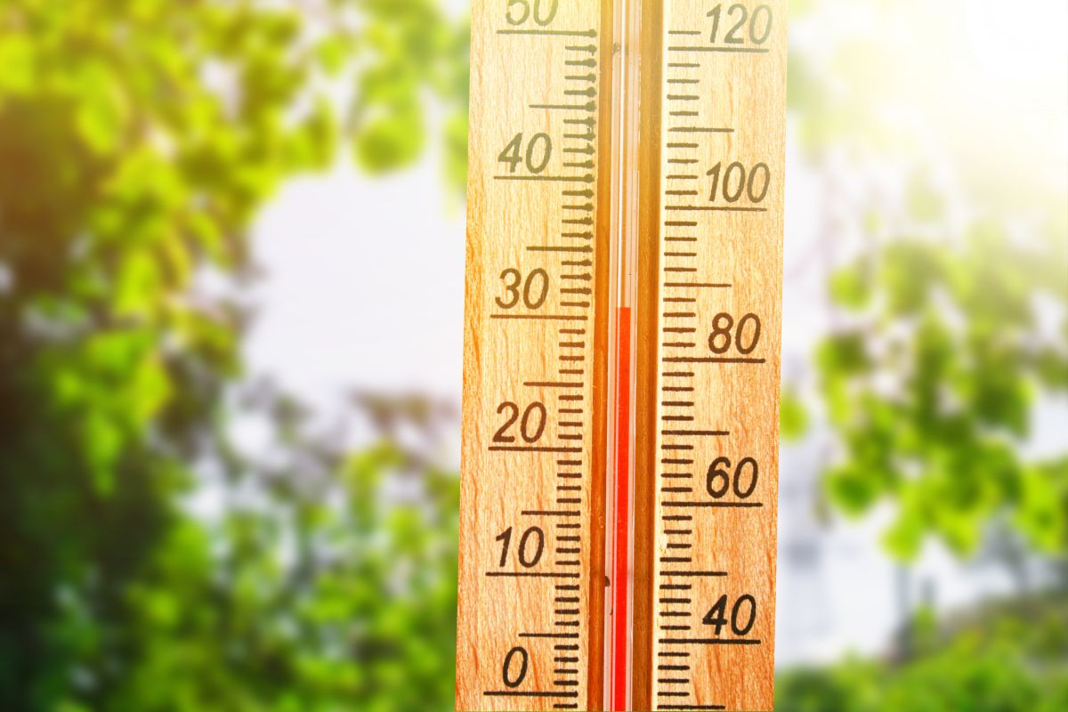 În Spania s-a înregistrat cea mai ridicată temperatură de ianuarie din Europa
