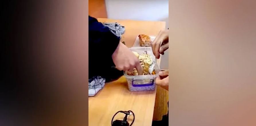 VIDEO La friptură înainte: Cum a încercat un ucrainean să treacă fraudulos granița cu România