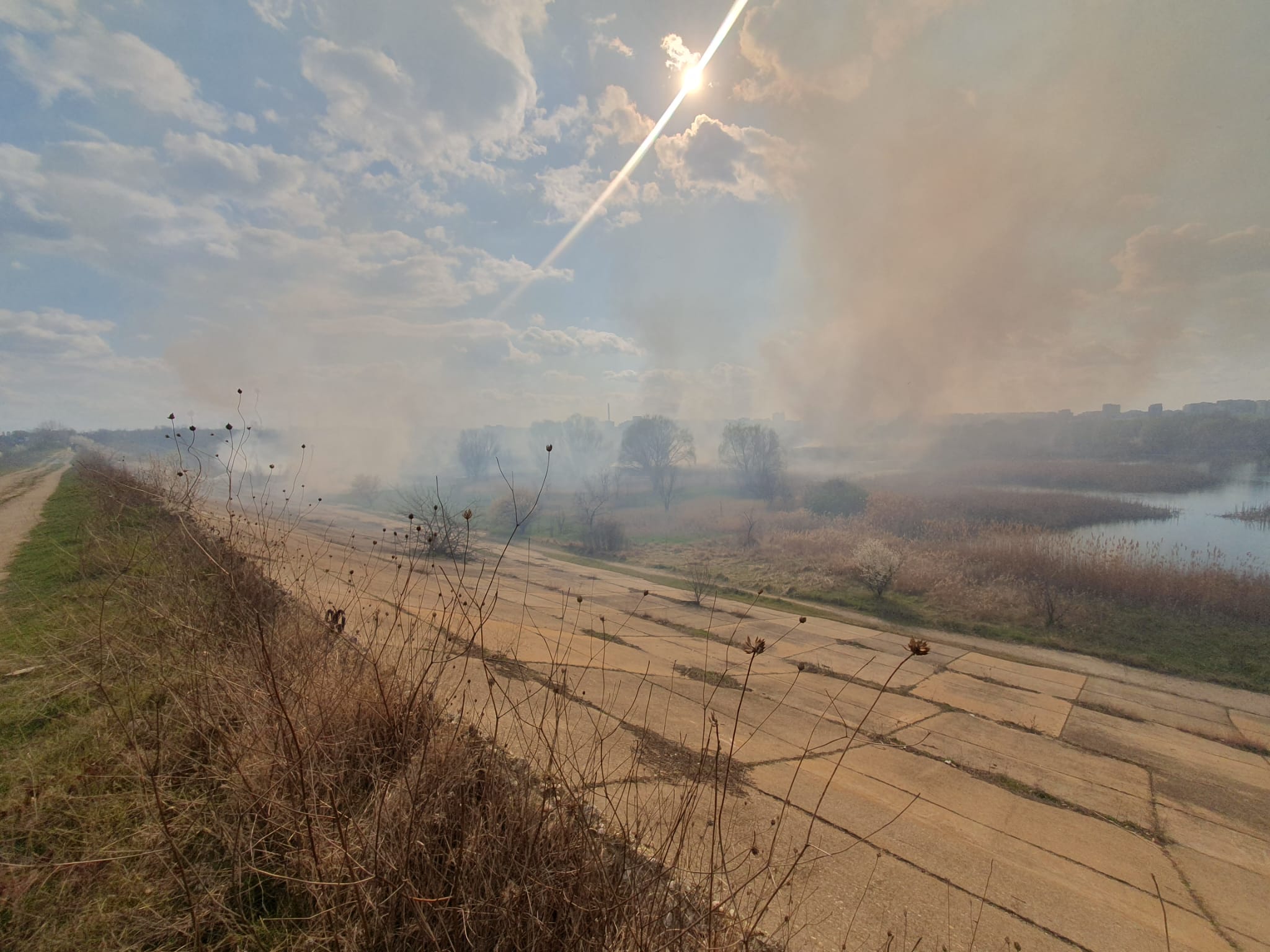 Un nou incendiu în Delta Văcărești / Peste 7.000 mp afectați