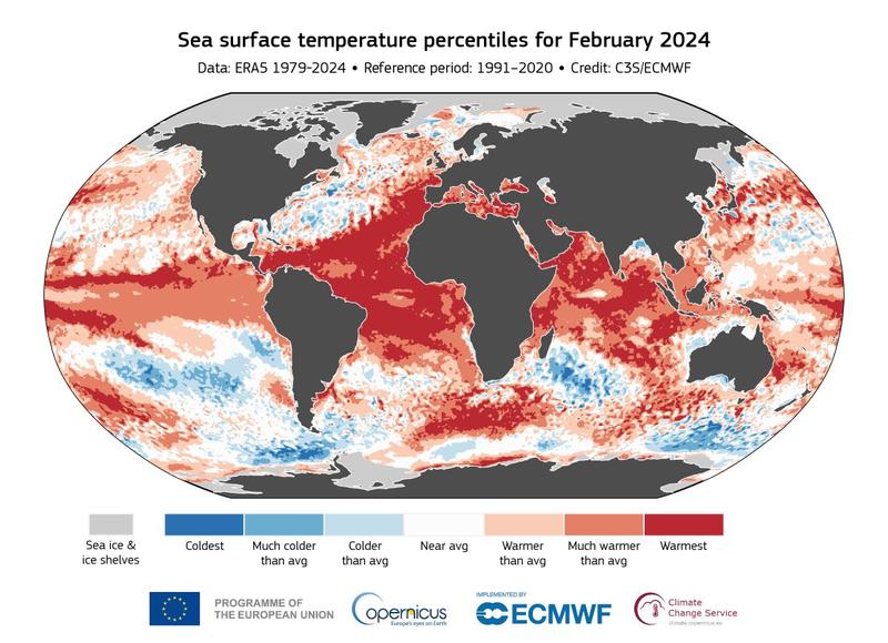 Temperaturile medii ale oceanelor in februarie 2024