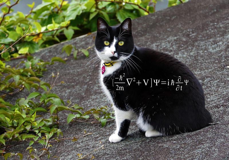 Ecuația lui Erwin Schrödinger