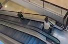 Un francez l-a blocat pe scările rulante pe atacatorul de la mallul din Sydney