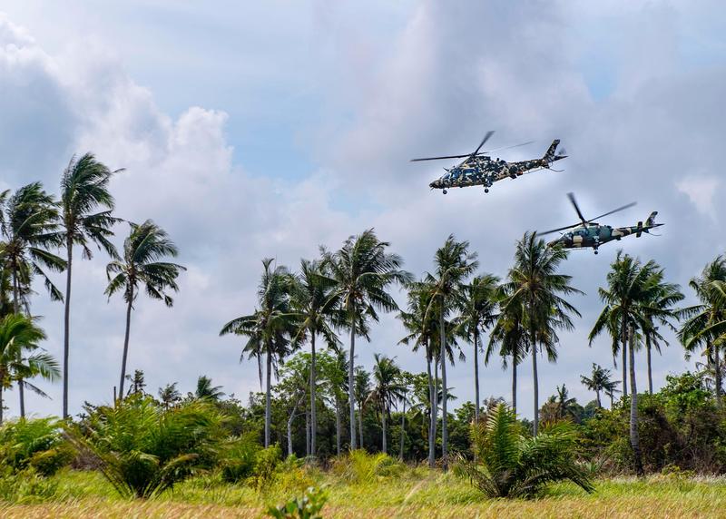 Elicoptere ale marinei malaeziene