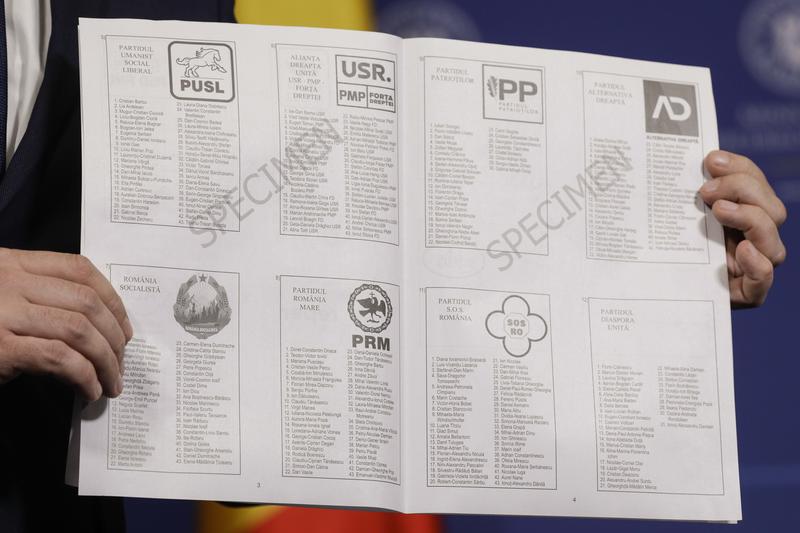 Alegerile europarlamentare