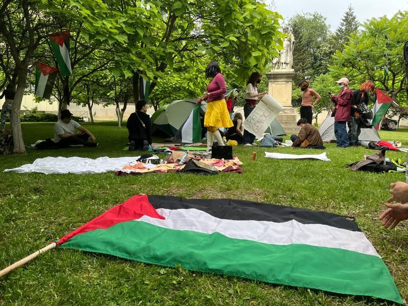 Protestatarii au pus steaguri ale Palestinei în jurul lor