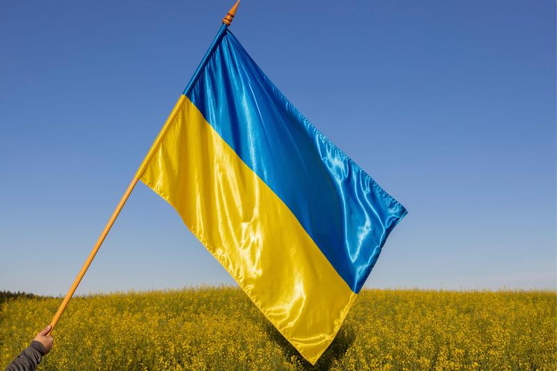 steag ucrainean pe fondul unui cer albastru deasupra unui camp de rapita