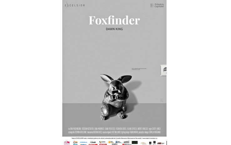 Afisul piesei Foxfinder