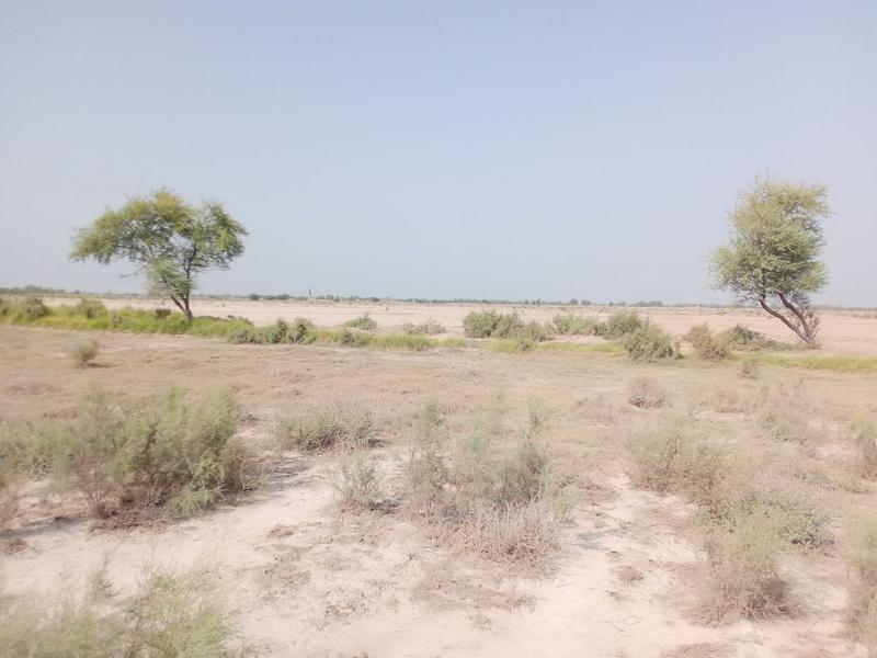 Peisaj din provincia Sindh, Pakistan