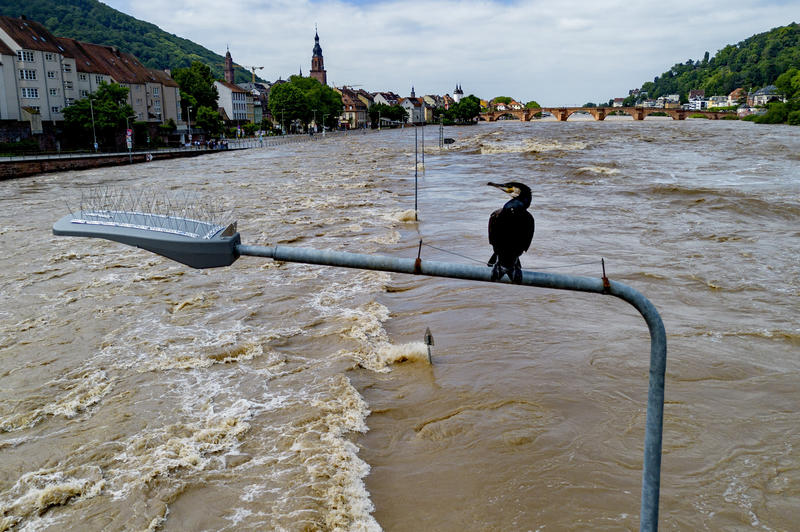 inundatii Germania