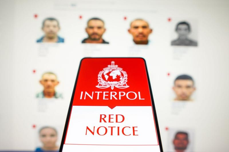 Notificarea de de alertă roşie a Interpol (ilustraţie foto)